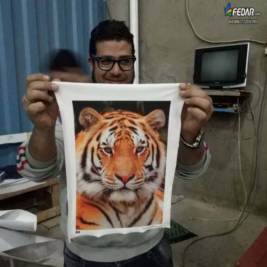 Fedar Sublimation Printer In Egypt With Best Transfer Result